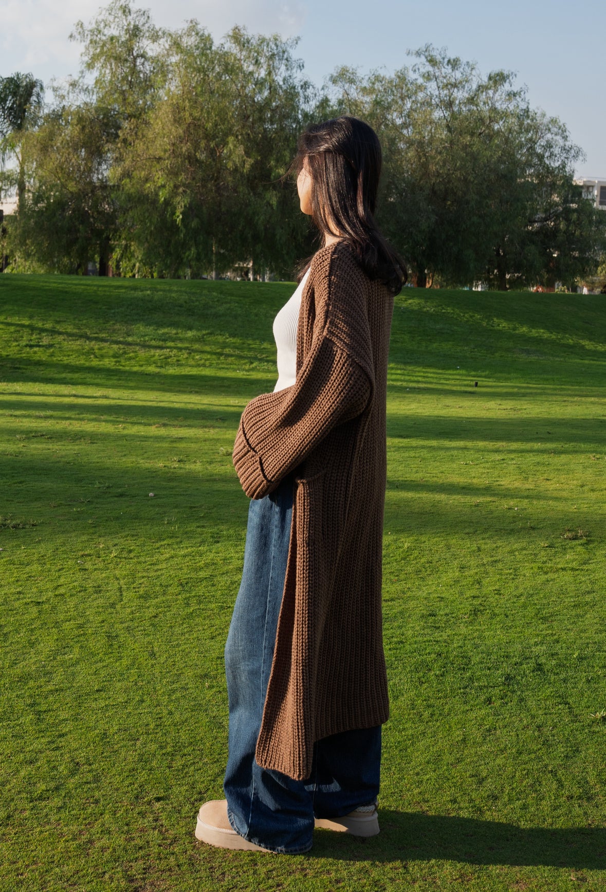 The Brown Knit Cardigan