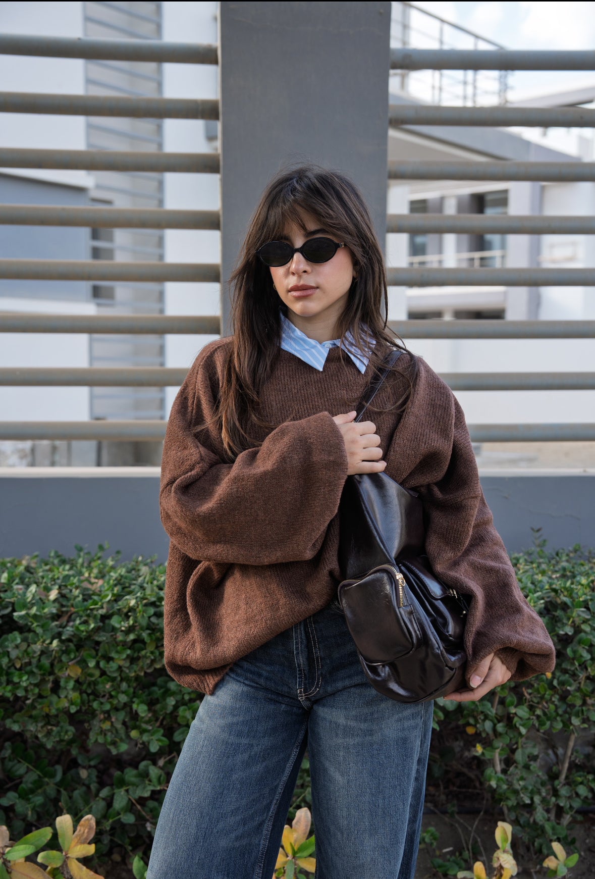 The Brown Puffy Sweater